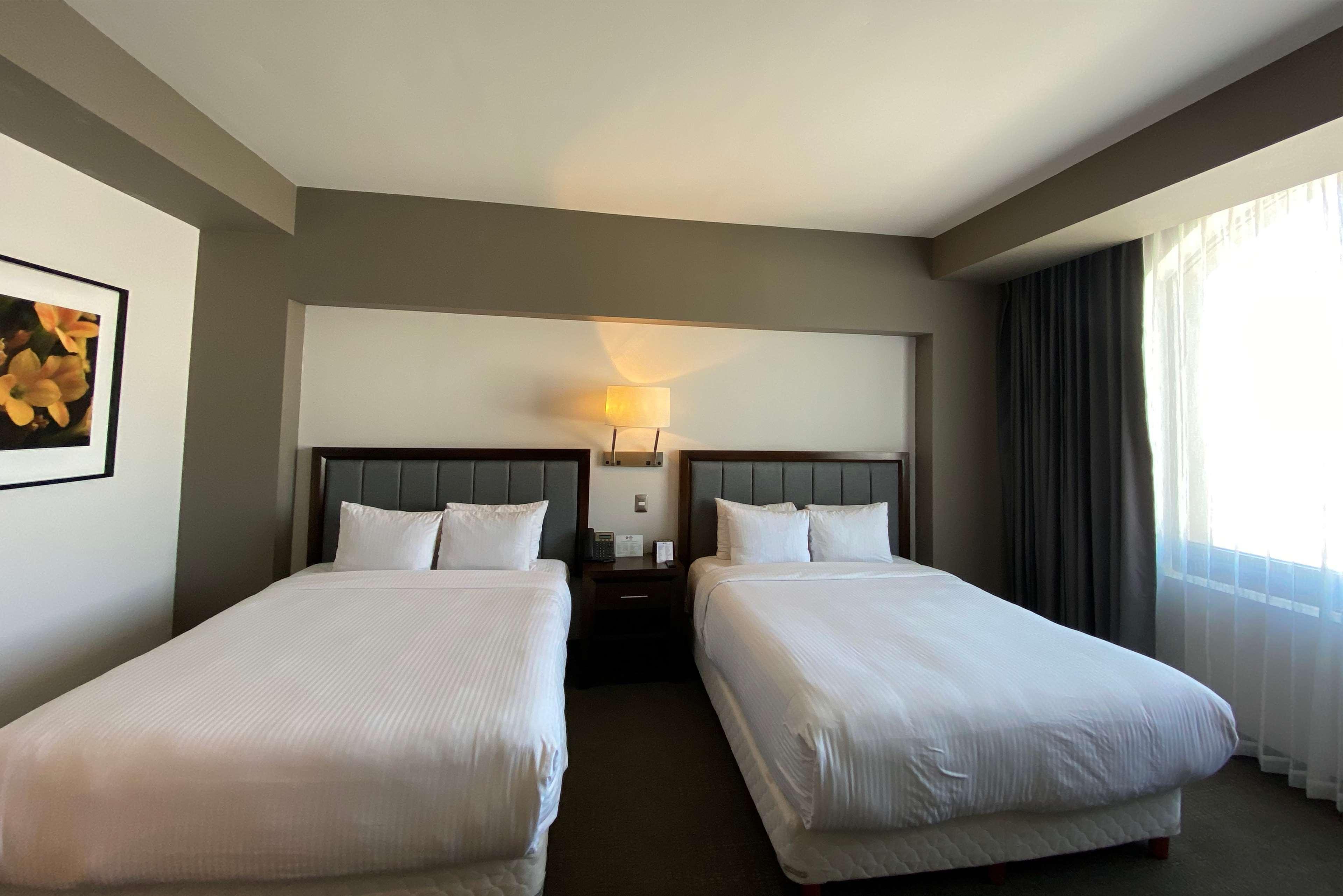 Best Western Oak Meadows Inn Saint Helens Exteriér fotografie